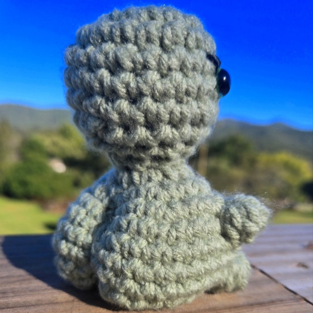 Turtle With Booty Cheeks - Picture 3 of 3